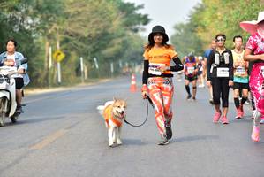 BIB: 
                            <button type="button" onclick="openModal(10196298)" class="btn btn-primary btn-sm float-right btn-popup" data-toggle="modal" data-target=".modal-high-quality">
                        <i class="fas fa-shopping-cart"></i> Add to Cart
                    </button>
                                            <button type="button" onclick="isThisMe(10196298, true)" class="btn btn-success btn-sm float-right btn-popup btn-isme hidden" data-toggle="tooltip" data-placement="bottom" title="นี่คือรูปของคุณใช่ไหม คลิกที่นี่เพื่อเอาเข้าอัลบั้ม">
                        <i class="fas fa-plus"></i> Add to album
                    </button>
                    <button type="button" onclick="isThisMe(10196298, false)" class="btn btn-warning btn-sm float-right btn-popup btn-isnotme hidden">
                        <i class="fas fa-ban"></i> Remove from album
                    </button>